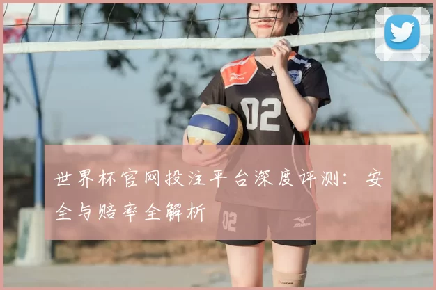 世界杯官网投注平台深度评测:安全与赔率全解析