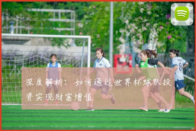 深度解析：如何通过世界杯球队投资实现财富增值