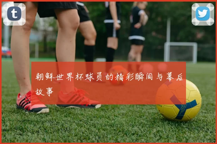 朝鲜世界杯球员的精彩瞬间与幕后故事