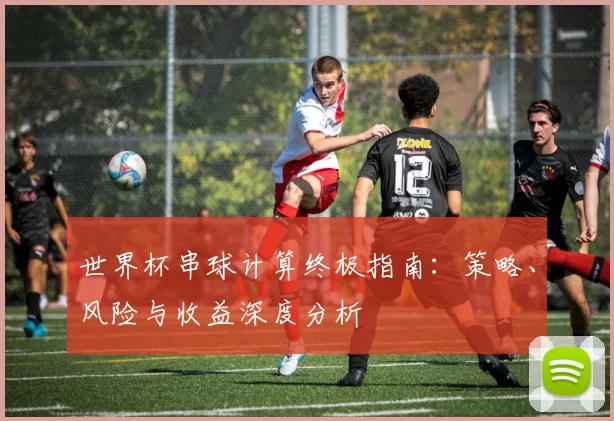 世界杯串球计算终极指南：策略、风险与收益深度分析