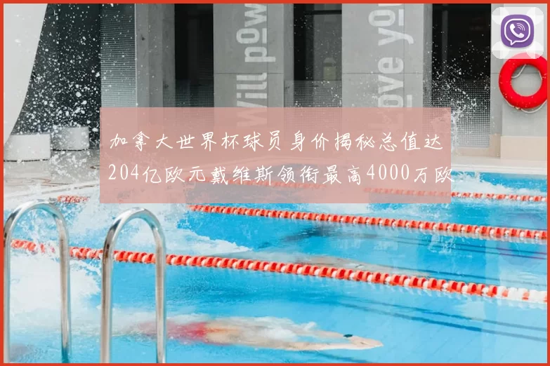 加拿大世界杯球员身价揭秘总值达204亿欧元戴维斯领衔最高4000万欧
