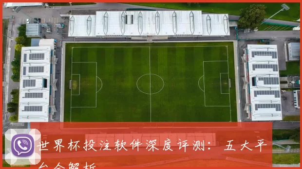 世界杯投注软件深度评测:五大平台全解析