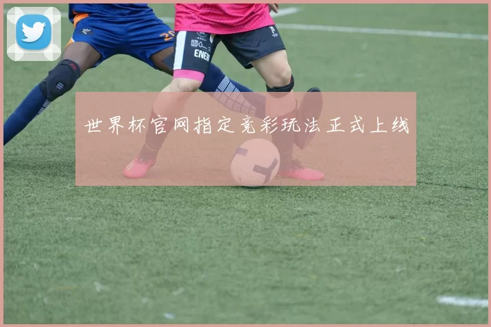 世界杯官网指定竞彩玩法正式上线