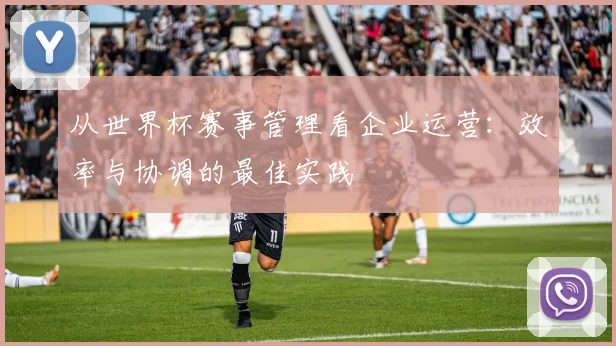 从世界杯赛事管理看企业运营：效率与协调的最佳实践