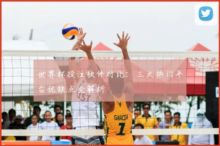 世界杯投注软件对比：三大热门平台优缺点全解析